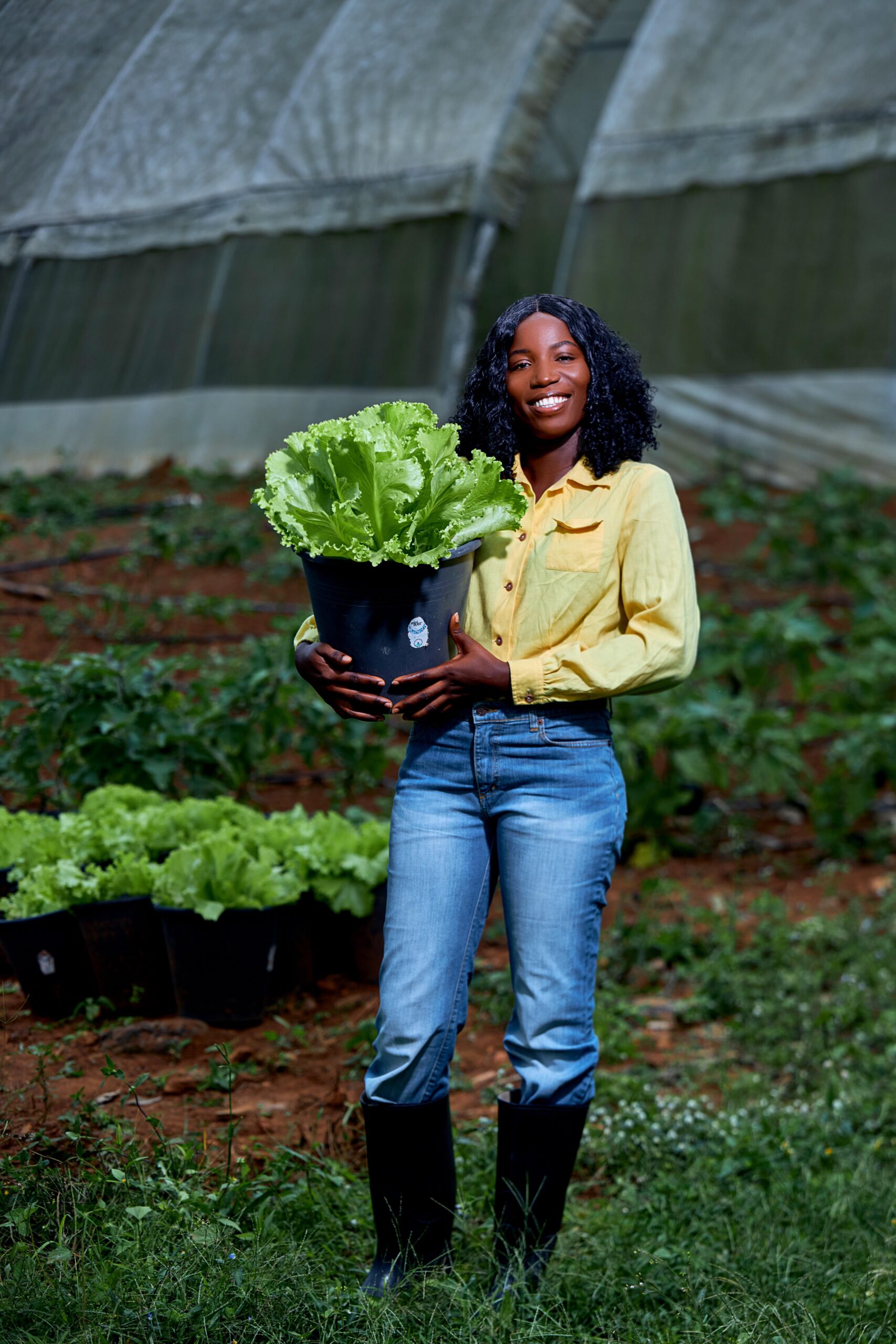 Fresh farm produce crate