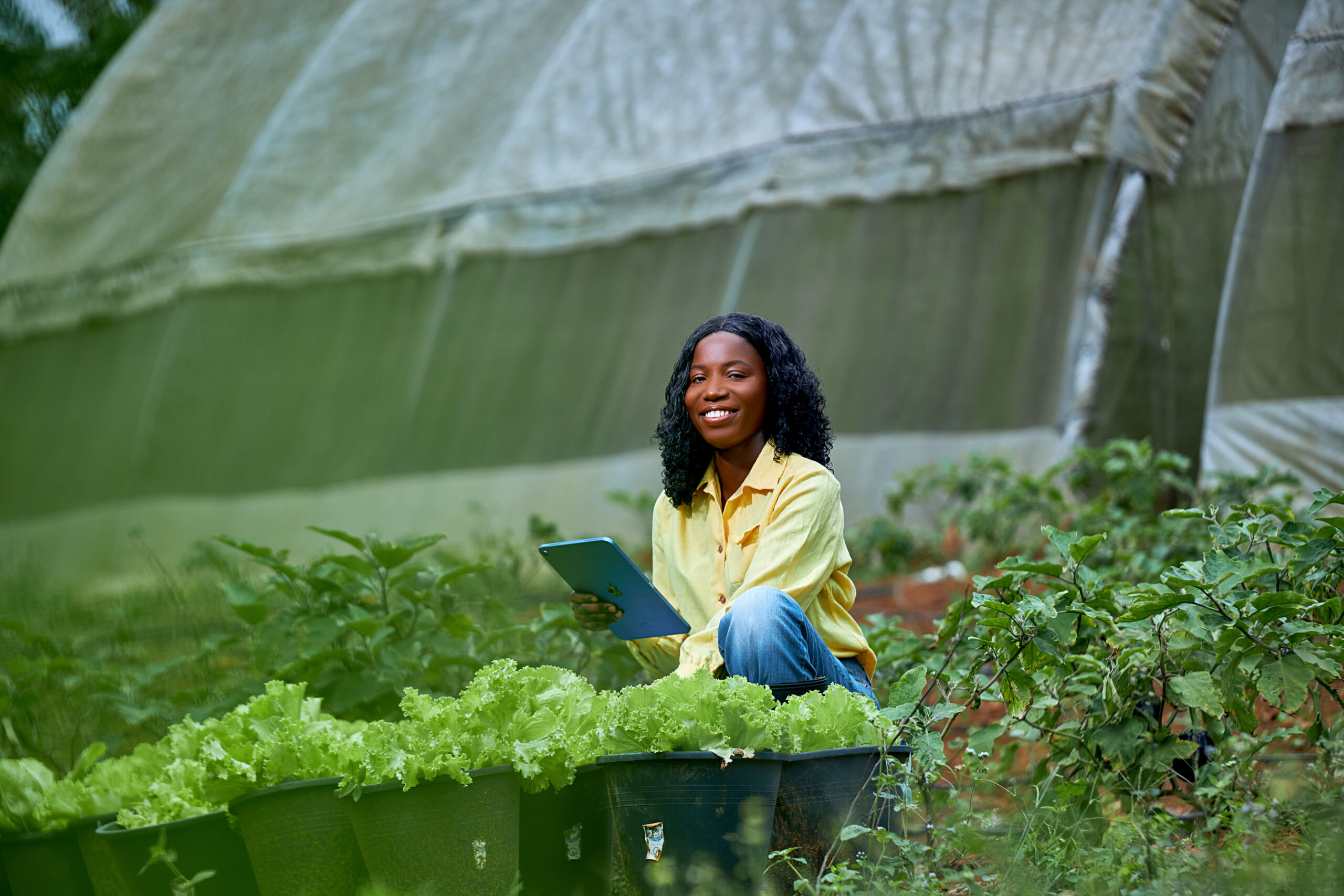 Future of agriculture in Ghana